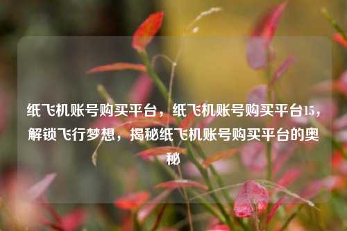 纸飞机账号购买平台，纸飞机账号购买平台15，解锁飞行梦想，揭秘纸飞机账号购买平台的奥秘