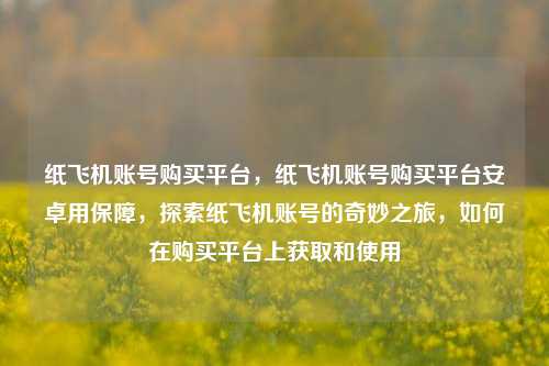 纸飞机账号购买平台，纸飞机账号购买平台安卓用保障，探索纸飞机账号的奇妙之旅，如何在购买平台上获取和使用
