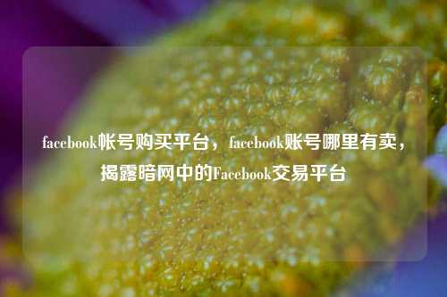 facebook帐号购买平台，facebook账号哪里有卖，揭露暗网中的Facebook交易平台