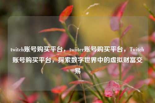 twitch账号购买平台，twiiter账号购买平台，Twitch账号购买平台，探索数字世界中的虚拟财富交易