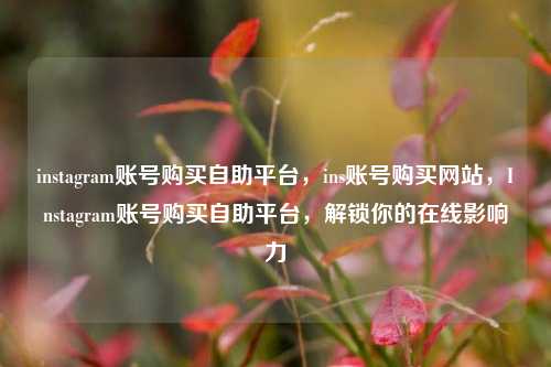 instagram账号购买自助平台，ins账号购买网站，Instagram账号购买自助平台，解锁你的在线影响力