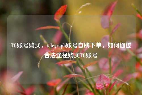 TG账号购买，telegraph账号自助下单，如何通过合法途径购买TG账号