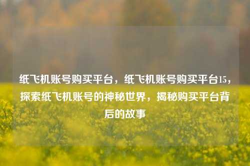 纸飞机账号购买平台，纸飞机账号购买平台15，探索纸飞机账号的神秘世界，揭秘购买平台背后的故事