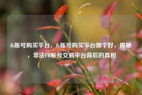 fb账号购买平台，fb账号购买平台哪个好，揭秘，非法FB账号交易平台背后的真相