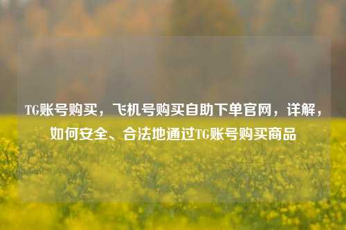 TG账号购买，飞机号购买自助下单官网，详解，如何安全、合法地通过TG账号购买商品