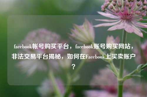 facebook帐号购买平台	，facebook账号购买网站，非法交易平台揭秘，如何在Facebook上买卖账户？  第1张