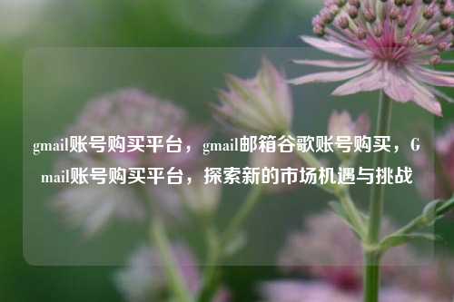 gmail账号购买平台，gmail邮箱谷歌账号购买，Gmail账号购买平台，探索新的市场机遇与挑战