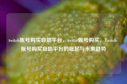 twitch账号购买自助平台，twitte账号购买，Twitch 账号购买自助平台的崛起与未来趋势