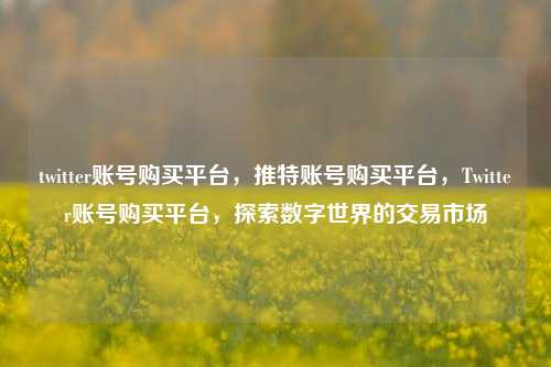 twitter账号购买平台，推特账号购买平台，Twitter账号购买平台，探索数字世界的交易市场