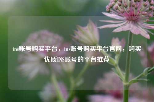 ins账号购买平台，ins账号购买平台官网，购买优质INS账号的平台推荐