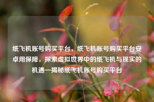 纸飞机账号购买平台	，纸飞机账号购买平台安卓用保障，探索虚拟世界中的纸飞机与现实的机遇—揭秘纸飞机账号购买平台  第1张