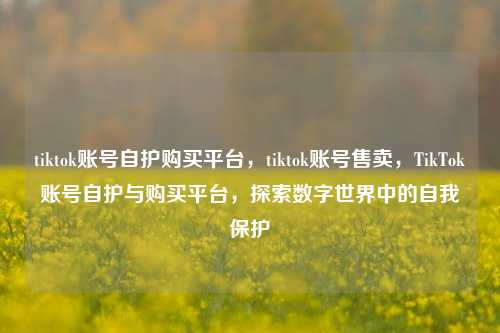 tiktok账号自护购买平台，tiktok账号售卖	，TikTok账号自护与购买平台，探索数字世界中的自我保护  第1张