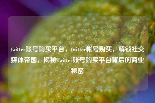 twitter账号购买平台，twitter帐号购买，解锁社交媒体帝国，揭秘Twitter账号购买平台背后的商业秘密