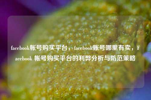facebook帐号购买平台，facebook账号哪里有卖，Facebook 帐号购买平台的利弊分析与防范策略