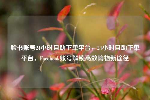 脸书账号24小时自助下单平台，24小时自助下单平台，Facebook账号解锁高效购物新途径