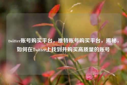 twitter账号购买平台，推特账号购买平台，揭秘，如何在Twitter上找到并购买高质量的账号