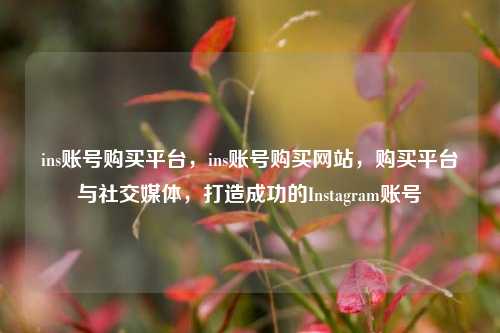 ins账号购买平台，ins账号购买网站，购买平台与社交媒体，打造成功的Instagram账号