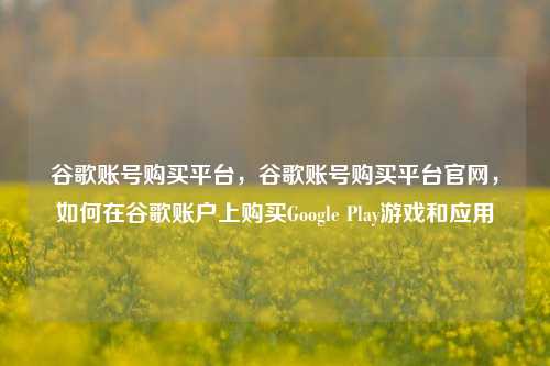 谷歌账号购买平台，谷歌账号购买平台官网，如何在谷歌账户上购买Google Play游戏和应用
