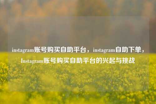 instagram账号购买自助平台，instagram自助下单，Instagram账号购买自助平台的兴起与挑战  第1张