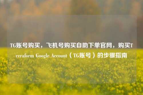 TG账号购买，飞机号购买自助下单官网，购买Terraform Google Account（TG账号）的步骤指南