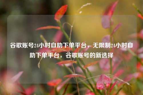 谷歌账号24小时自助下单平台，无限制24小时自助下单平台，谷歌账号的新选择