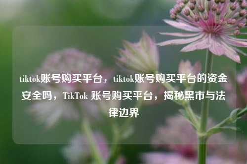 tiktok账号购买平台，tiktok账号购买平台的资金安全吗，TikTok 账号购买平台，揭秘黑市与法律边界