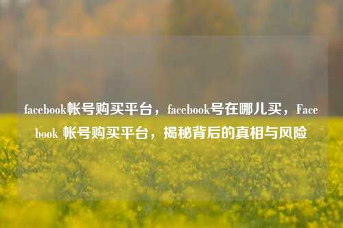 facebook帐号购买平台，facebook号在哪儿买，Facebook 帐号购买平台，揭秘背后的真相与风险