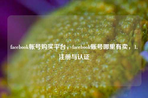 facebook帐号购买平台，facebook账号哪里有卖，1.注册与认证