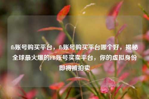 fb账号购买平台，fb账号购买平台哪个好，揭秘全球最火爆的FB账号买卖平台，你的虚拟身份即将被拍卖