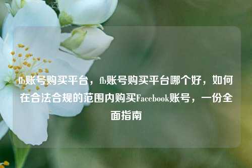 fb账号购买平台，fb账号购买平台哪个好，如何在合法合规的范围内购买Facebook账号，一份全面指南