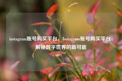 instagram账号购买平台，Instagram账号购买平台，解锁数字世界的新可能
