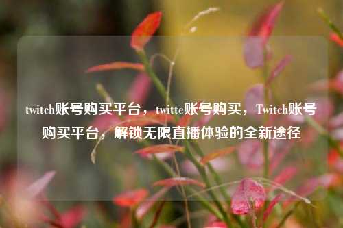 twitch账号购买平台，twitte账号购买，Twitch账号购买平台，解锁无限直播体验的全新途径