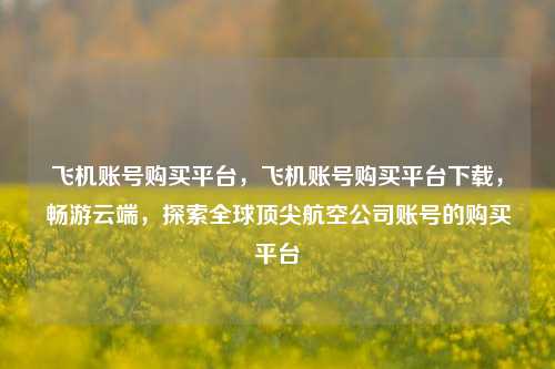 飞机账号购买平台，飞机账号购买平台下载，畅游云端，探索全球顶尖航空公司账号的购买平台