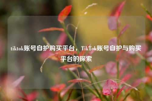 tiktok账号自护购买平台，TikTok账号自护与购买平台的探索