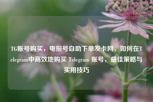 TG账号购买，电报号自助下单发卡网，如何在Telegram中高效地购买 Telegram 账号，最佳策略与实用技巧