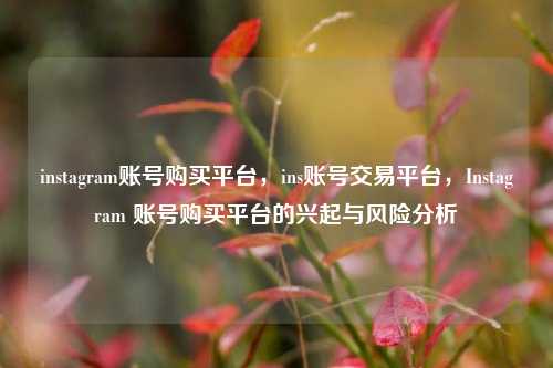 instagram账号购买平台，ins账号交易平台，Instagram 账号购买平台的兴起与风险分析