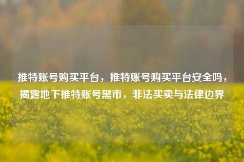 推特账号购买平台，推特账号购买平台安全吗，揭露地下推特账号黑市，非法买卖与法律边界