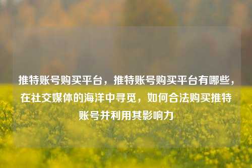 推特账号购买平台，推特账号购买平台有哪些，在社交媒体的海洋中寻觅，如何合法购买推特账号并利用其影响力