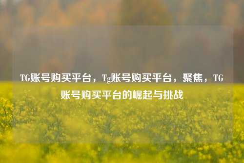 TG账号购买平台，Tg账号购买平台，聚焦，TG账号购买平台的崛起与挑战