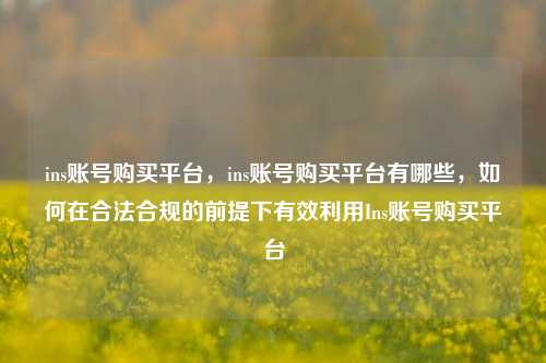 ins账号购买平台，ins账号购买平台有哪些，如何在合法合规的前提下有效利用Ins账号购买平台