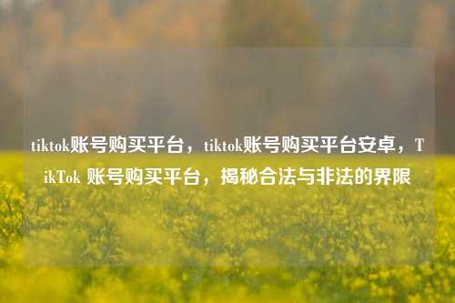 tiktok账号购买平台，tiktok账号购买平台安卓	，TikTok 账号购买平台，揭秘合法与非法的界限  第1张