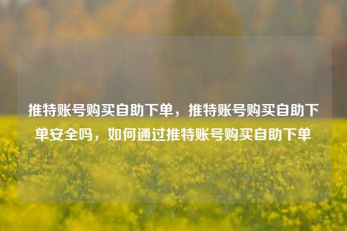 推特账号购买自助下单，推特账号购买自助下单安全吗，如何通过推特账号购买自助下单