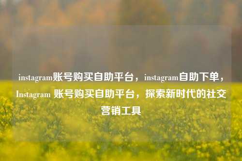 instagram账号购买自助平台，instagram自助下单，Instagram 账号购买自助平台，探索新时代的社交营销工具