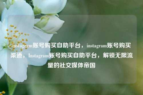 instagram账号购买自助平台，instagram账号购买渠道，Instagram账号购买自助平台，解锁无限流量的社交媒体帝国