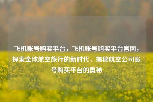 飞机账号购买平台	，飞机账号购买平台官网，探索全球航空旅行的新时代，揭秘航空公司账号购买平台的奥秘  第1张