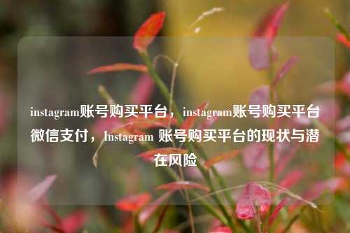 instagram账号购买平台，instagram账号购买平台微信支付，Instagram 账号购买平台的现状与潜在风险