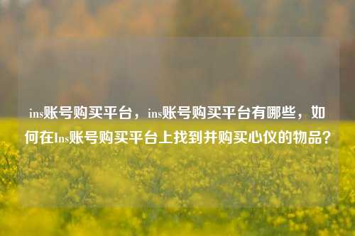 ins账号购买平台，ins账号购买平台有哪些，如何在Ins账号购买平台上找到并购买心仪的物品？