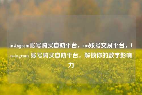 instagram账号购买自助平台，ins账号交易平台，Instagram 账号购买自助平台，解锁你的数字影响力