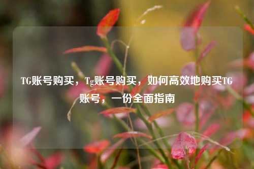 TG账号购买，Tg账号购买，如何高效地购买TG账号，一份全面指南