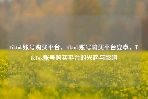 tiktok账号购买平台，tiktok账号购买平台安卓，TikTok账号购买平台的兴起与影响  第1张